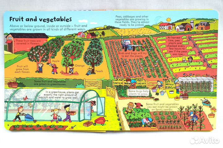 Usbome Look inside food