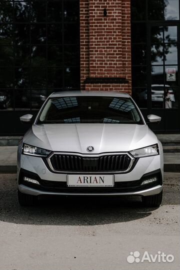 Аренда авто Skoda Octavia