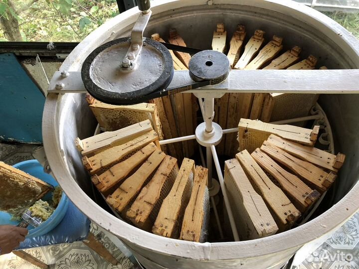 Мед 2023 года