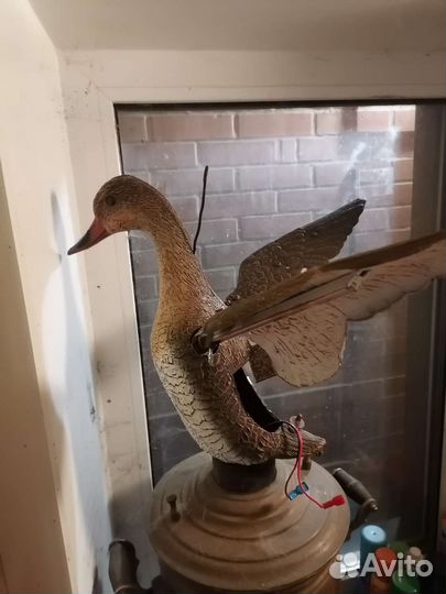 Чучела уток и механическая утка