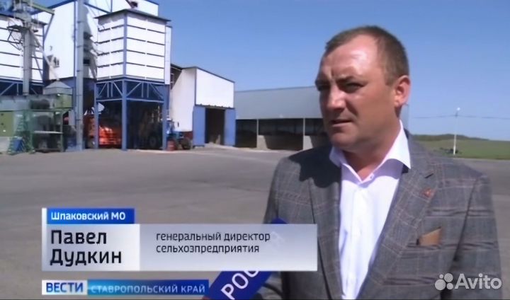 Руководитель