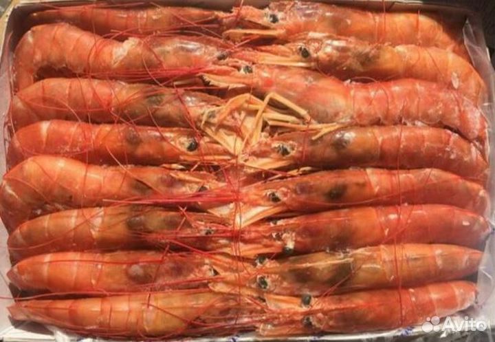 Лангустины L1, L2, C1, CX