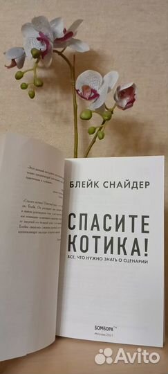 Спасите котика Все, что нужно знать о сценарии