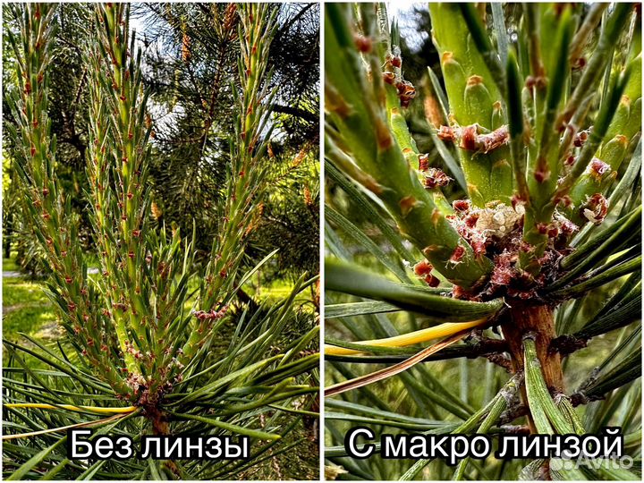 Линзы для телефона