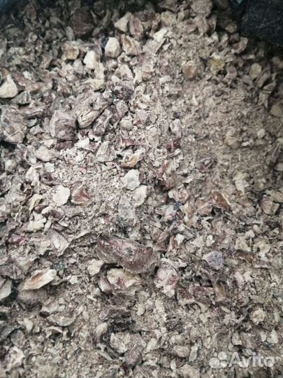 Сухой корм для собак и кошек