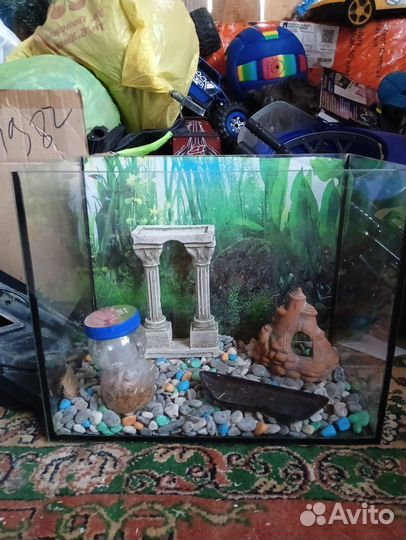 Аквариум