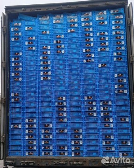 Грибной ящик