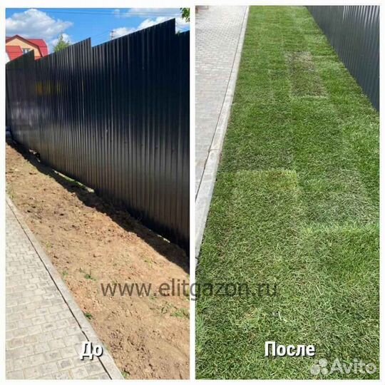 Продажа рулонного газона под ключ