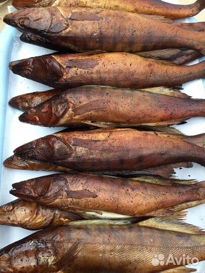 Рыба горячего копчения