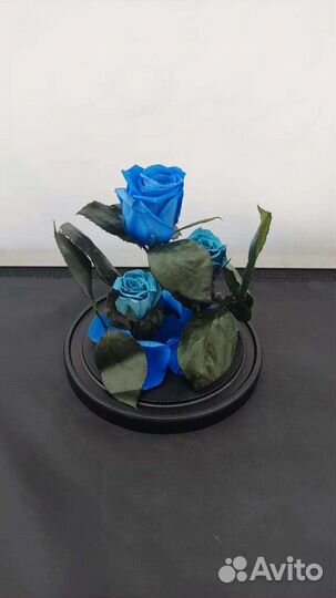 Роза в колбе