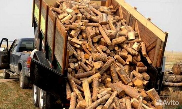 Дрова с Выборга