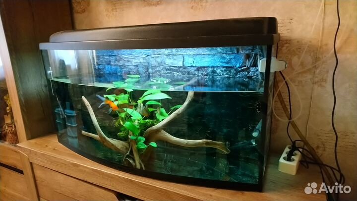 Аквариум на 200 л