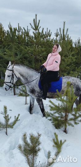 Уроки верховой езды,обучение верховой езде