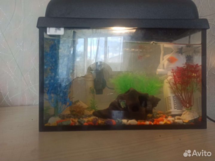 Украшение для аквариума