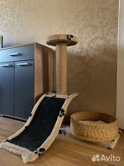 Когтеточка