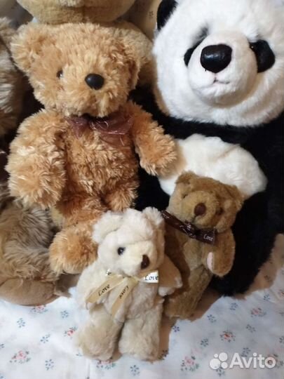 Медведи коллекционные