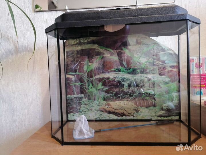 Аквариум