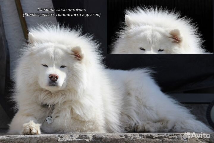 Фотошоп/Корректировка фотографий/Ретушь