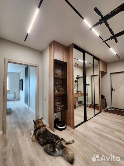 Безвоздушная покраска любых помещений