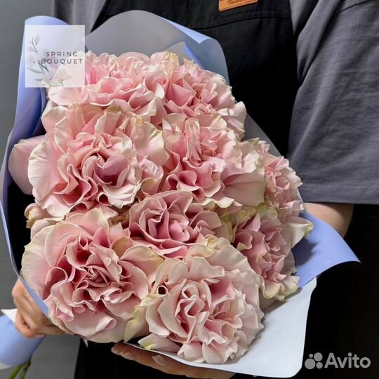 Розы Эквадор кустовые эвкалипт