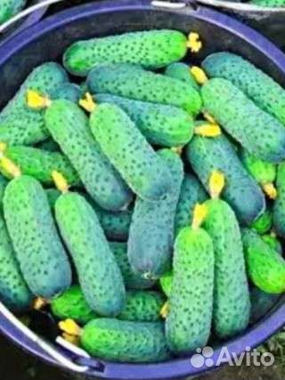 Клубника и огурчики с бесплатной доставкой