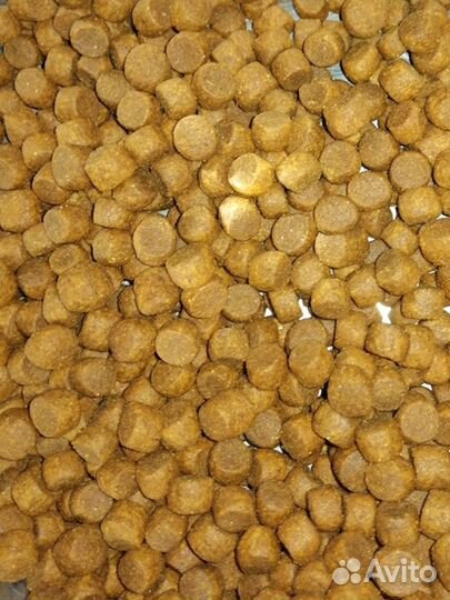 Корм ProBalance Immuno Puppies Small & Medium