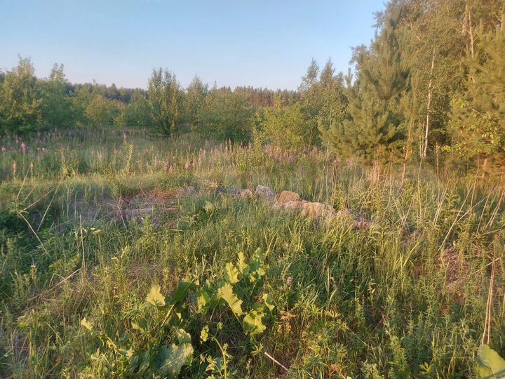 Участок 28 сот. (ИЖС)