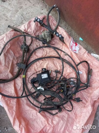 Гбо ловато 4 поколения