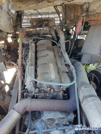 Двигатель маз 2011 года