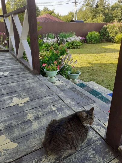 Дом 103 м² на участке 7 сот.