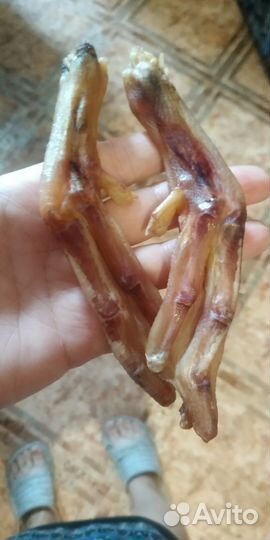 Лакомства для собак