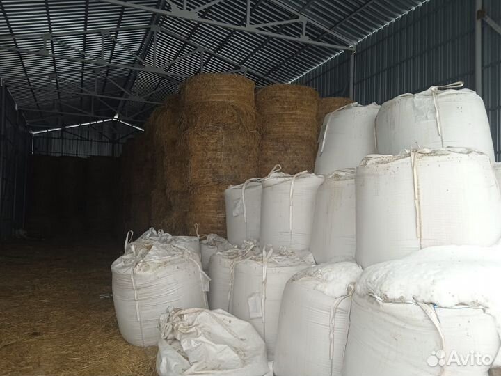 Сено в рулонах (из многолетних трав)