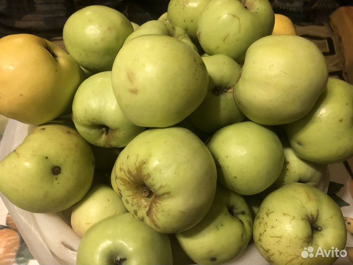 Груши яблоки