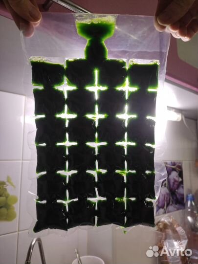 Витграсс, сок пшеницы, хлорофилл, микрозелень