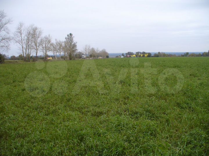 Участок 20 га (СНТ, ДНП)