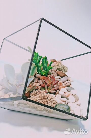 Флорариум 