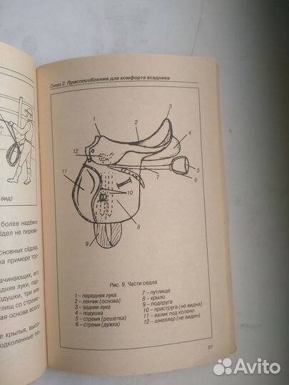 Книги о конном спорте