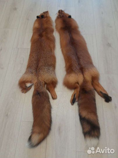 Шкура выделенная рыжей камчатской лисы