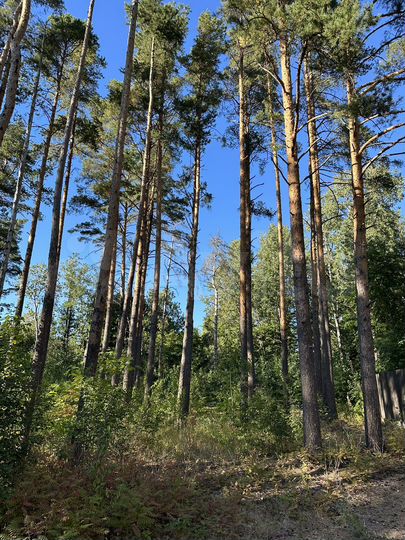 Участок 9,5 сот. (ИЖС)