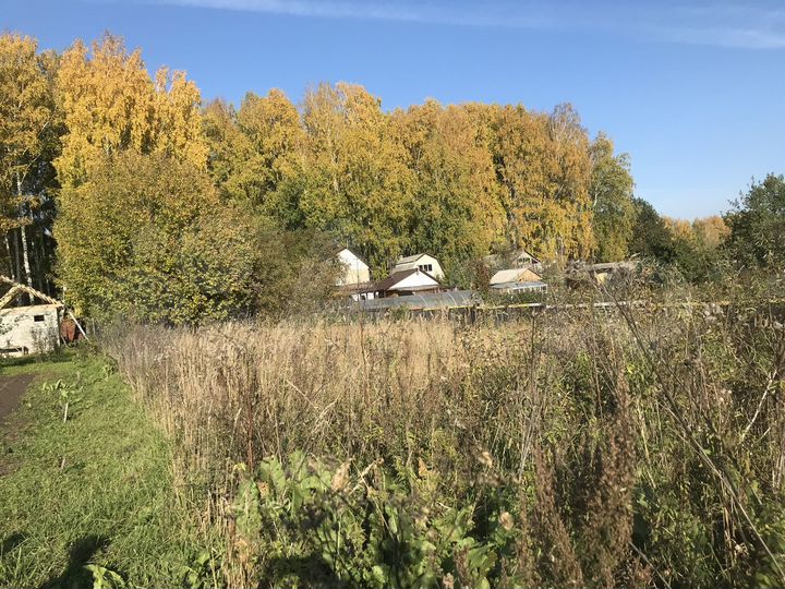 Участок 10 сот. (СНТ, ДНП)