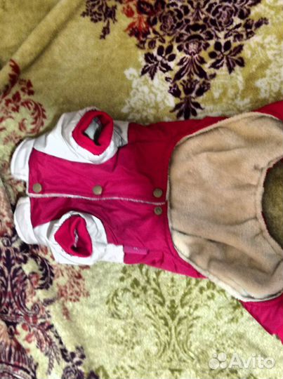 Одежда для маленьких собак