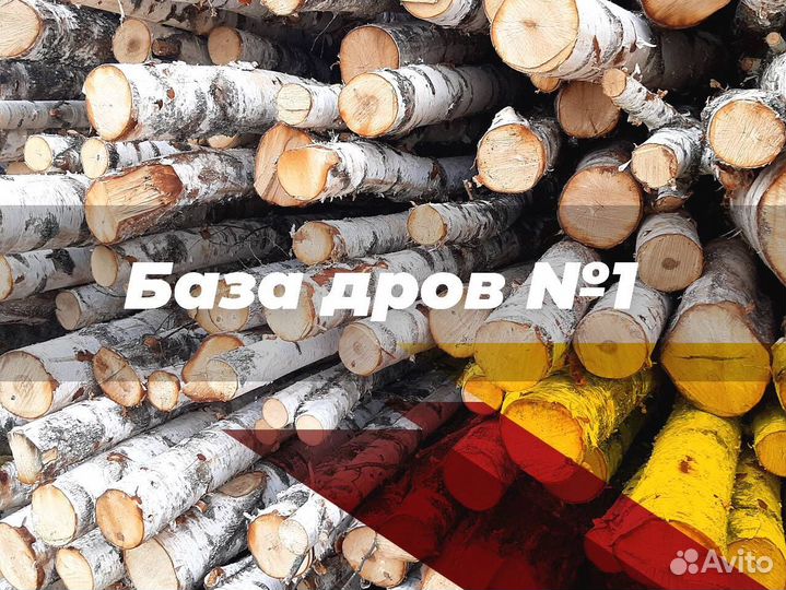 Дрова дуб