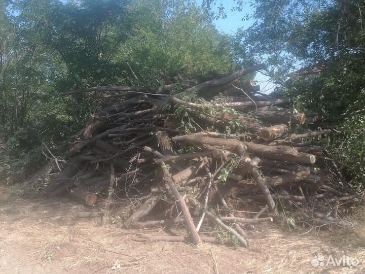 Дрова самовывоз