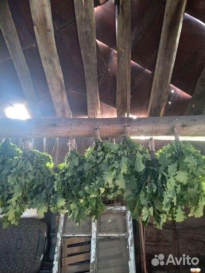 Веники для бани