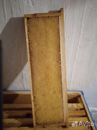 Рамка 145 суш