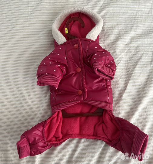 Одежда для маленьких собак размер s новый костюм