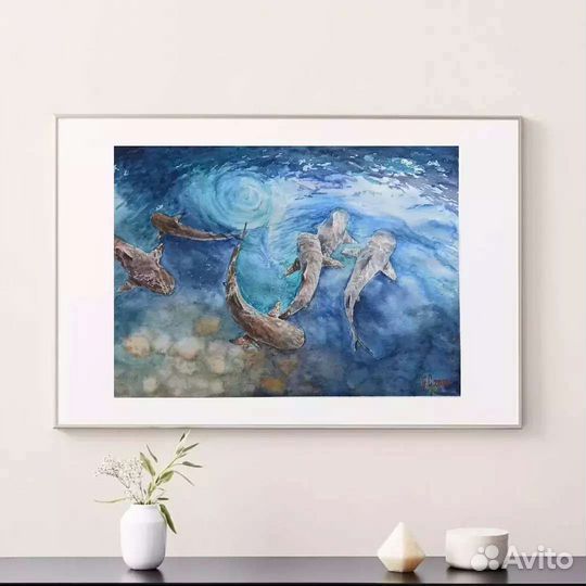 Акулы. Картина