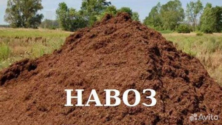 Навоз