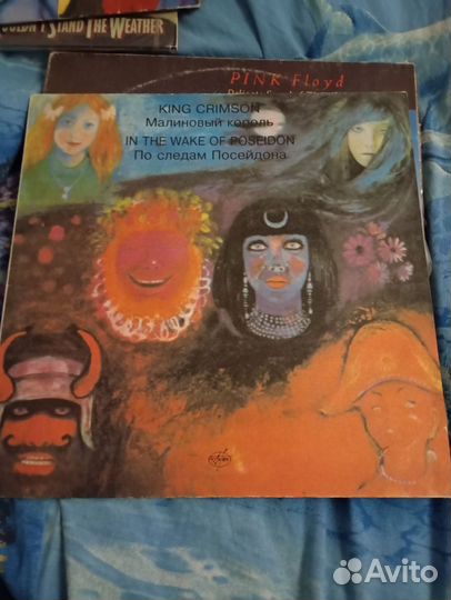 Виниловые пластинки