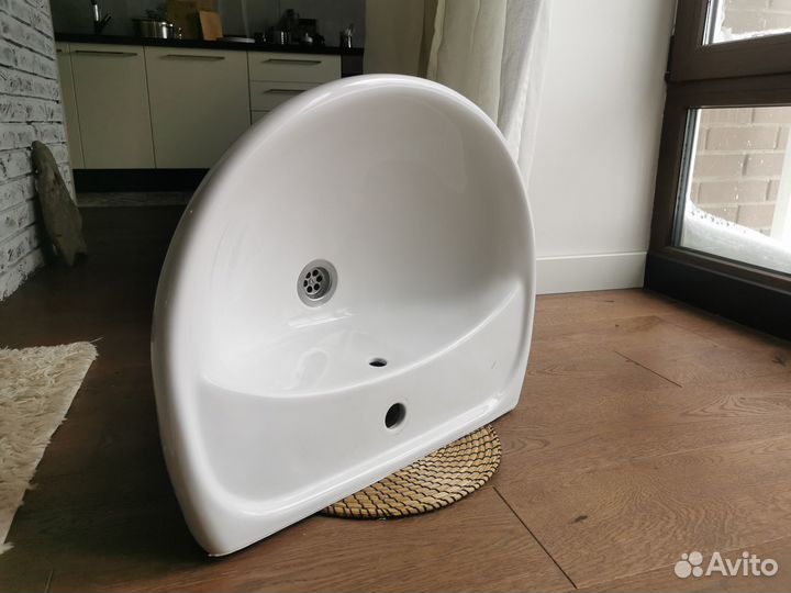 Раковина тюльпан